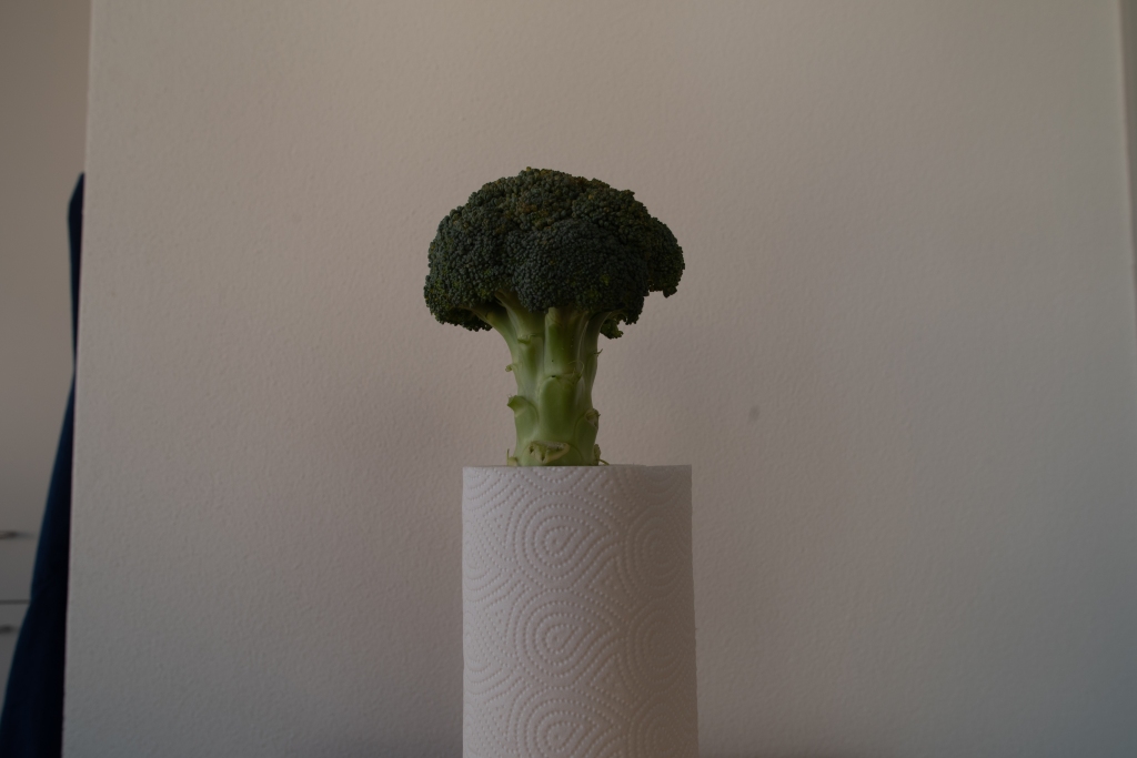 Broccoli sitting on a kitchen paper roll in front of a white wall.